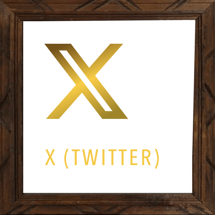 x or twitter icon black velvet fairy social